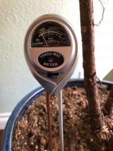 Using a moisture meter to know when to water your fiddle leaf fig plant can save you a lot of headaches and keep your plant healthy. For fiddle leaf fig owners who want to be totally confident in watering their plant, a moisture meter is a fantastic tool. Claire Akin