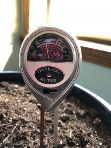 Using a moisture meter to know when to water your fiddle leaf fig plant can save you a lot of headaches and keep your plant healthy. For fiddle leaf fig owners who want to be totally confident in watering their plant, a moisture meter is a fantastic tool. Claire Akin