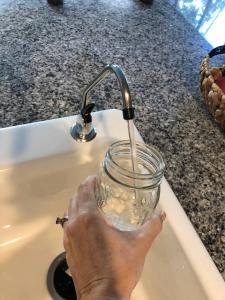 The best time to propagate your plant is in the spring when your plant is naturally growing and there's plenty of light available. But to ensure a successful outcome and a smooth process, there are a few things you'll want to do to prepare. Here's your step-by-step guide! Claire Akin