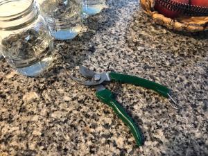 The best time to propagate your plant is in the spring when your plant is naturally growing and there's plenty of light available. But to ensure a successful outcome and a smooth process, there are a few things you'll want to do to prepare. Here's your step-by-step guide! Claire Akin