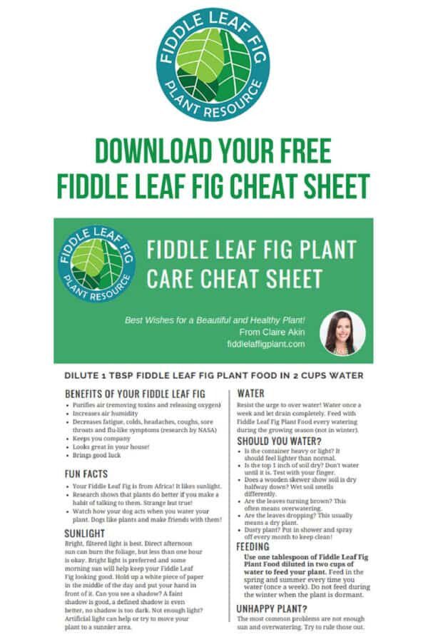 the cheat sheet vk the cheat sheet vk