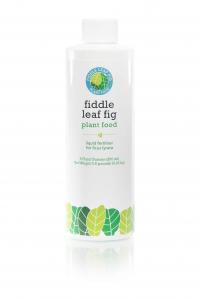 Fiddle Leaf Fig Tree Plant Food is here! Click to purchase your Fiddle Leaf Fig Plant Food today. Claire Akin