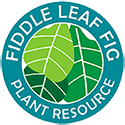 The Fiddle Leaf Fig Plant Resource Logo