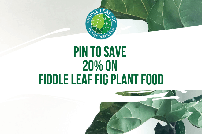 Pin to Save 20% on Fiddle Leaf Fig Plant Food (Coupon Code)