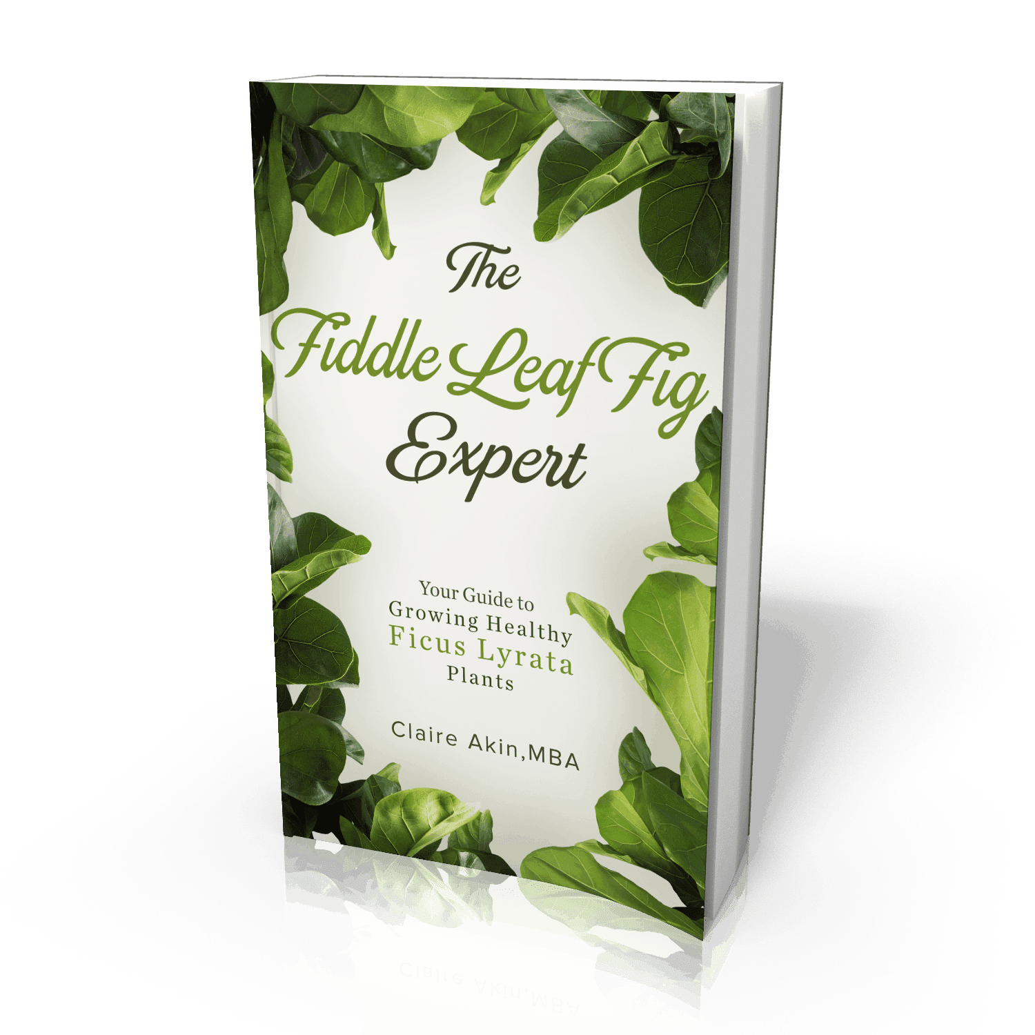 The Fiddle Leaf Fig book Has a New Cover and a Lower Price!