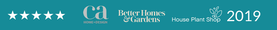 Houseplant-shop-2019 Houseplant shop 2019