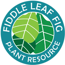 fiddle leaf fig plant logo