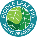 The Fiddle Leaf Fig Plant Resource Logo