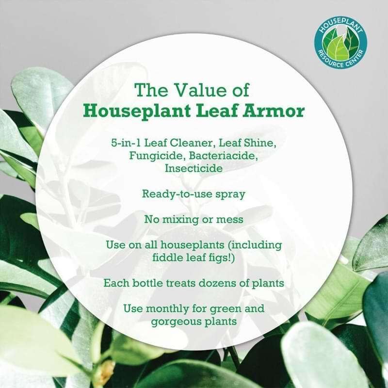Houseplant Leaf Armor