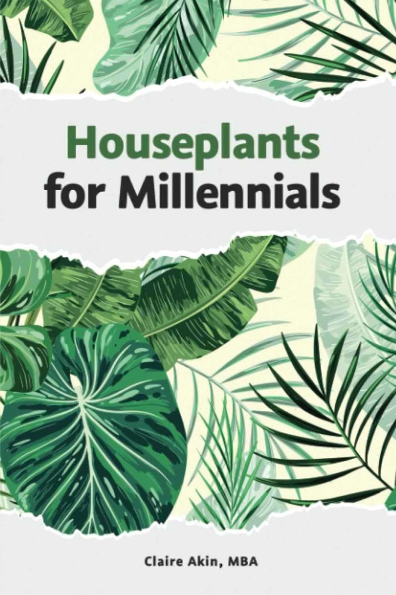 Houseplants for Millennials