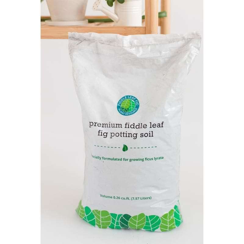 Premium Fiddle Leaf Fig Tree Potting Soil Perfect for Indoor Plants 