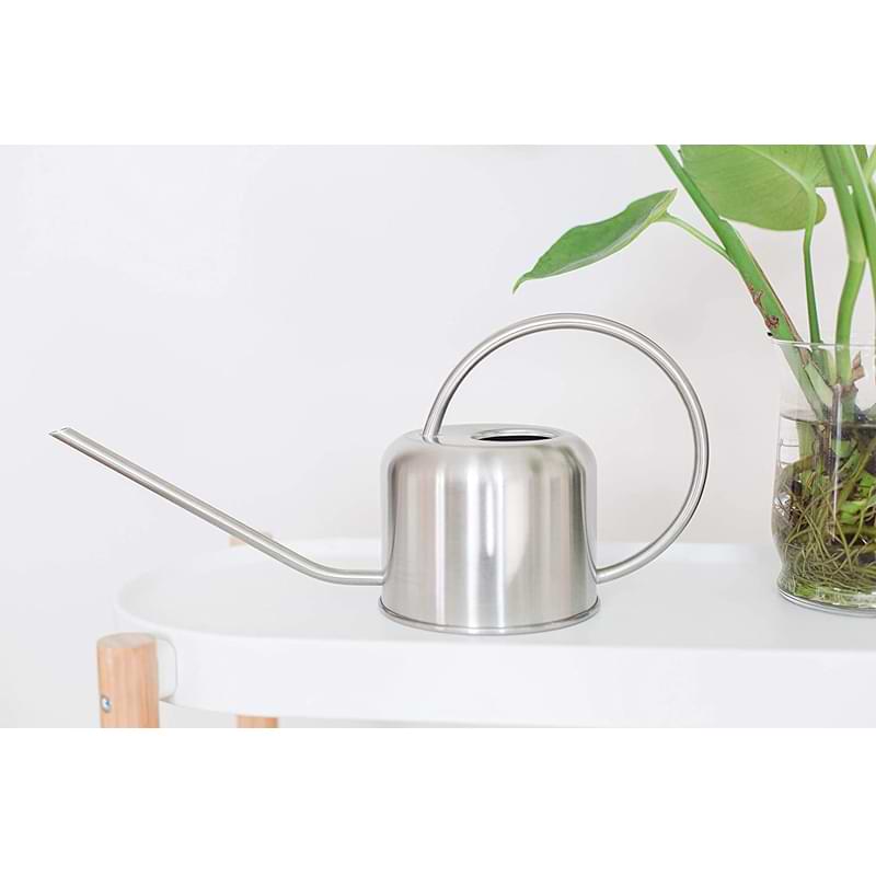 Houseplant Watering Can