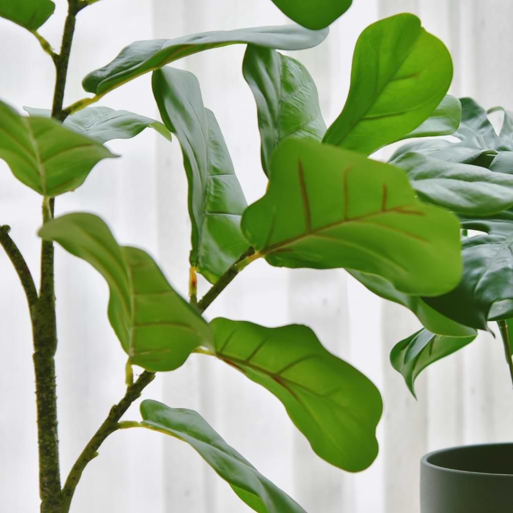 Here’s your guide to finding a gorgeous silk fiddle leaf fig tree and keeping it looking beautiful for years to come.