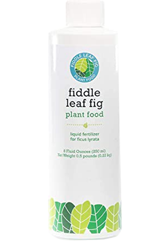Plant Food Bottle